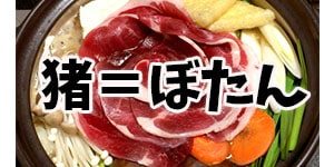 追想の愛 追憶の愛 の意味の違いは 英語では何ていう Life Is Beautiful