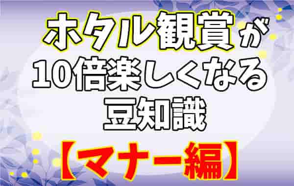 ホタル 蛍 観賞の見頃の気温と天候条件とは 時間帯や時期と服装も Life Is Beautiful