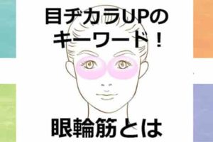 黒目の大きさ 黒目がち の日本人の平均は皆同じ 測り方や個人差ってある Life Is Beautiful