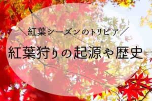 最も好ましい ガーベラ 漢字 ガーベラ 漢字表記