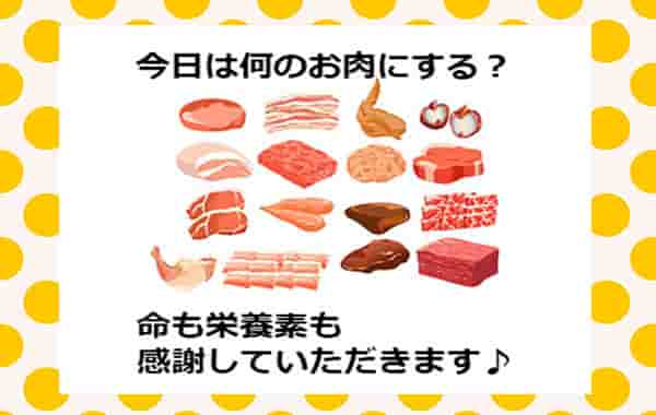 豚肉 牛肉 鶏肉はどれがいいか比較 栄養価の違いとたんぱく質のアミノ酸スコアとは Life Is Beautiful