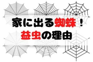 靴を夜に下ろしてはいけない 迷信 おまじない の理由と対処法は Life Is Beautiful