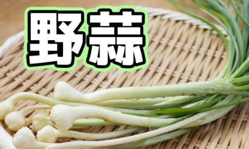 ノビル 野蒜 の特徴と見分け方 似ている毒草や野菜は Life Is Beautiful